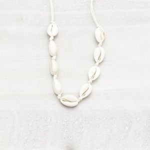 sea shell choker
